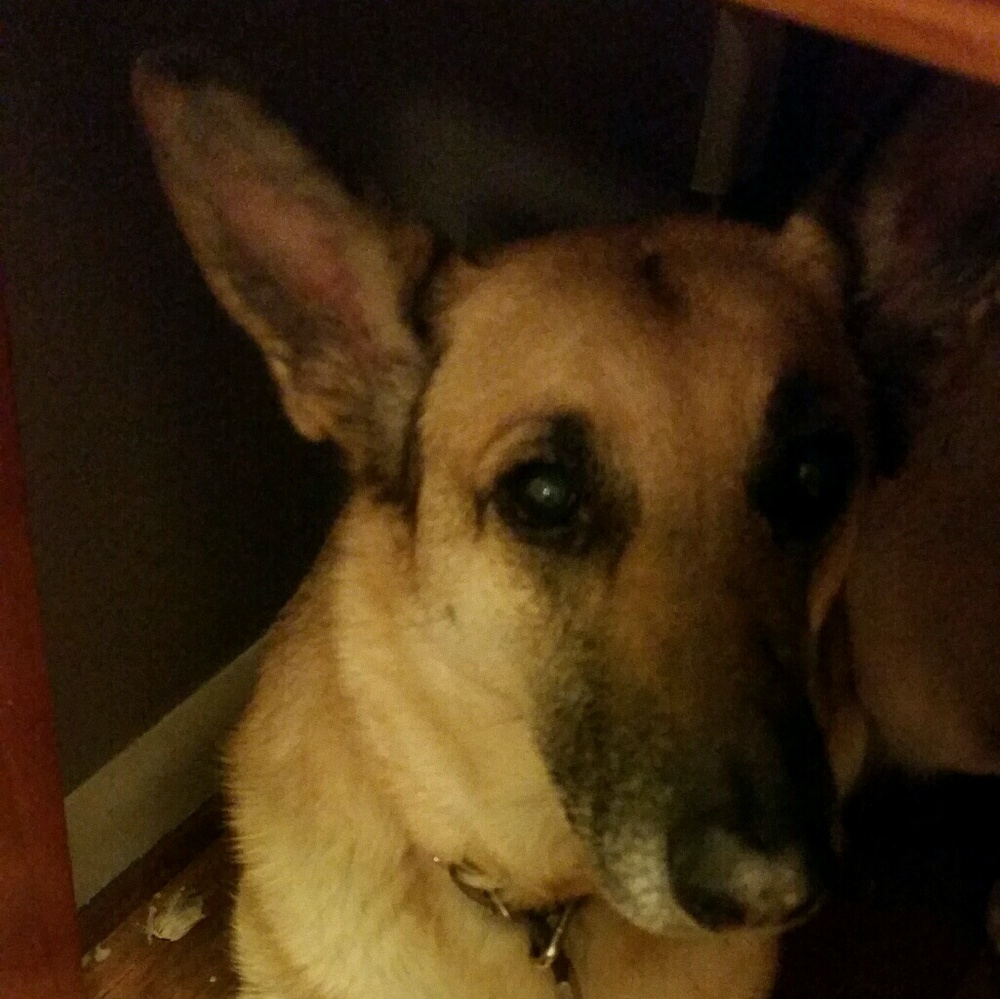 Meet your Posher, Madison